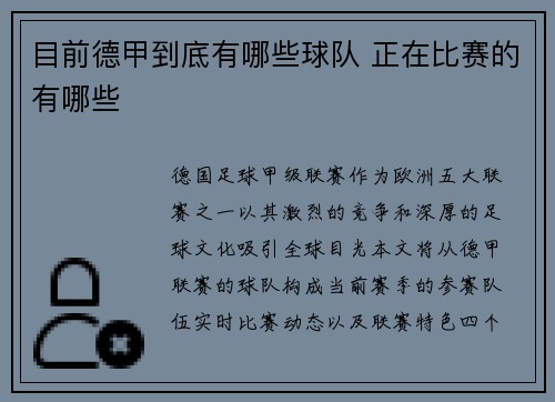 目前德甲到底有哪些球队 正在比赛的有哪些